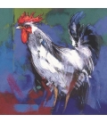 Janin - L'oeil du coq - 30x30cm