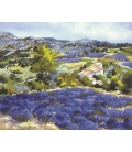  Ruggeri - Panorama aux lavandes - 41x5cm