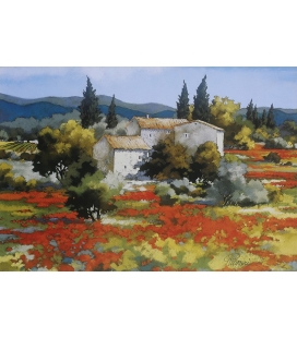 Ruggeri - Coquelicots