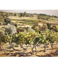Ruggeri - Côtes du Rhône - 61x50cm