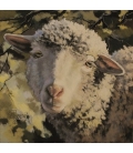 Ruggeri - Miss douceur - 30x30cm